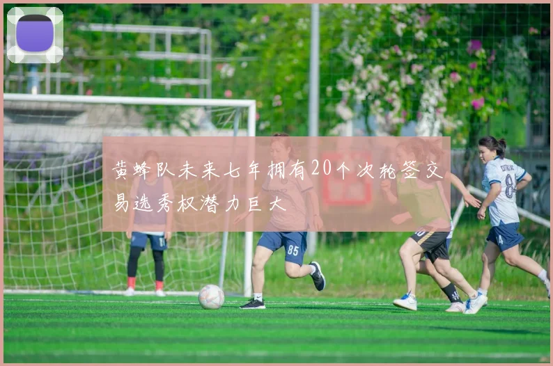 黄蜂队未来七年拥有20个次轮签交易选秀权潜力巨大