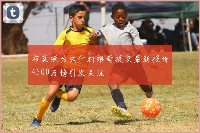 布莱顿为武什科维奇提交最新报价4500万镑引发关注