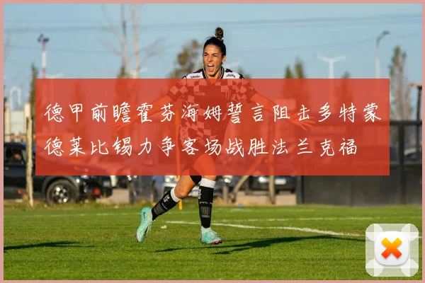 德甲前瞻霍芬海姆誓言阻击多特蒙德莱比锡力争客场战胜法兰克福